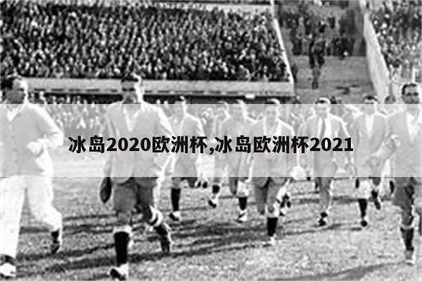 回顾冰岛欧洲杯 冰岛无缘2021欧洲杯-第3张图片-www.211178.com_果博福布斯